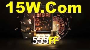 555FF App Interface
